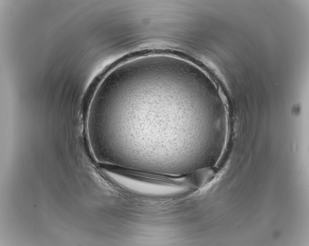 X0000089950973200707201921