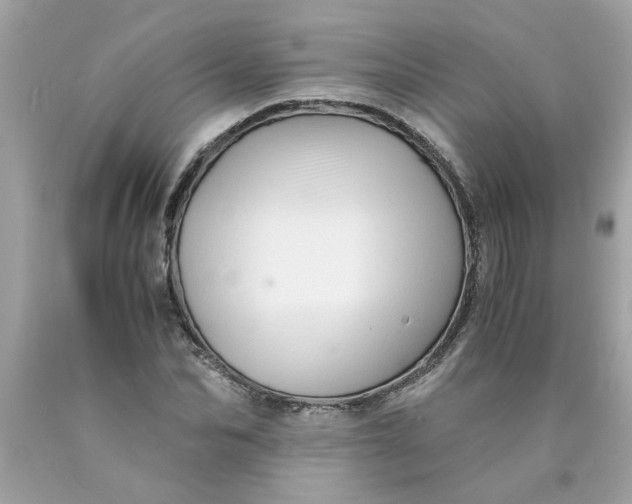 X0000089950974200707201921