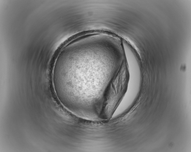 X0000089950975200707201921