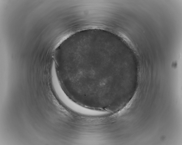 X0000089950977200707201921