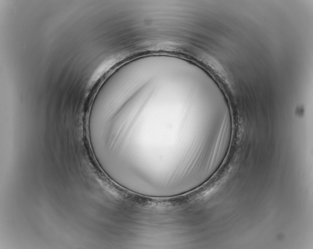 X0000089950978200707201921