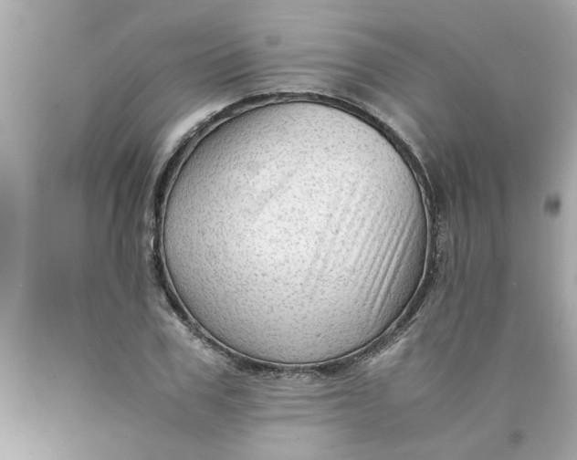 X0000089950979200707201921