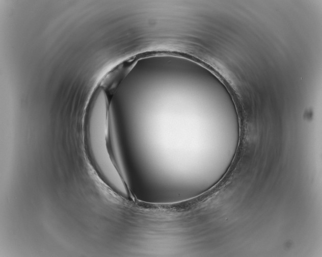 X0000089950980200707201921