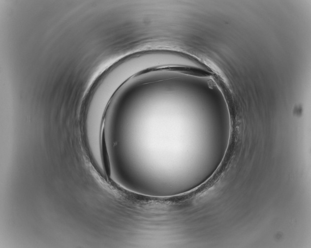 X0000089950981200707201921