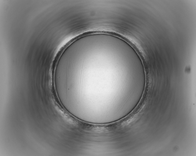 X0000089950982200707201921