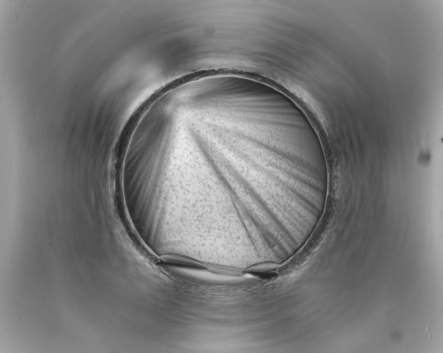 X0000089950983200707201921