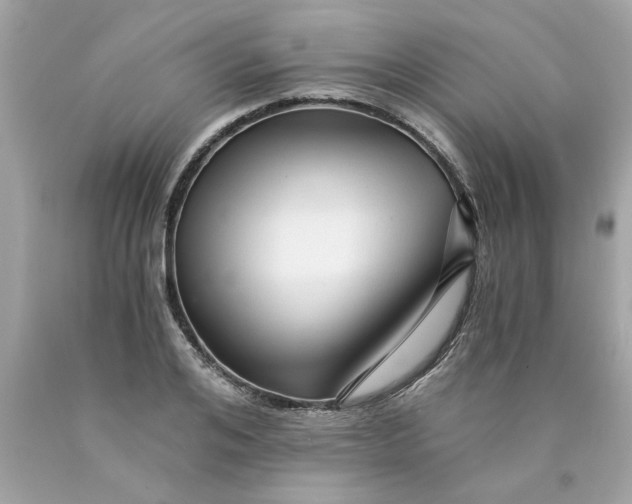 X0000089950984200707201921