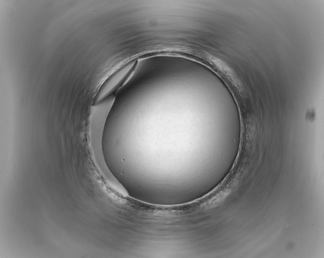 X0000089950985200707201921