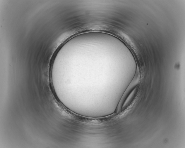 X0000089950986200707201921