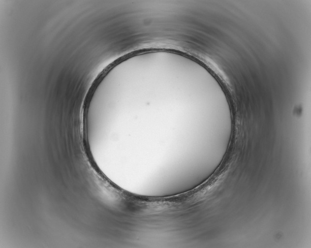 X0000089950988200707201921