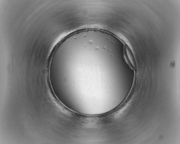 X0000089950989200707201921