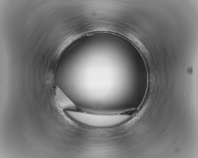 X0000089950993200707201921