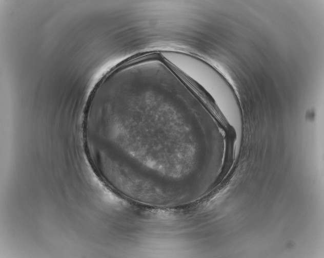 X0000089950995200707201921