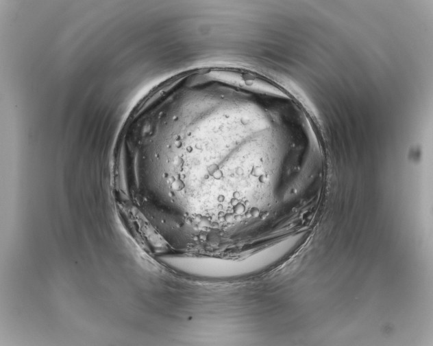 X0000089950996200707201921