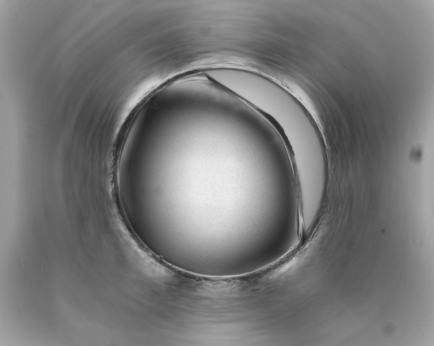 X0000089950997200707201921