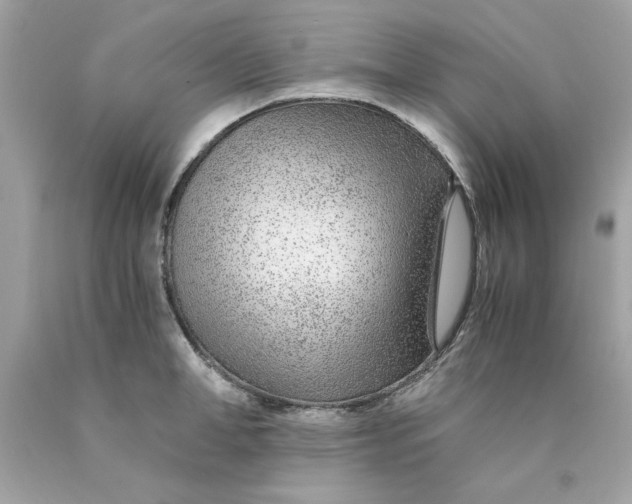 X0000089950998200707201921