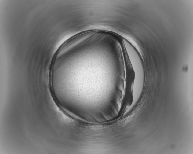 X0000089950999200707201921