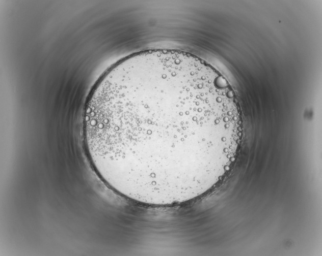 X0000089951000200707201921