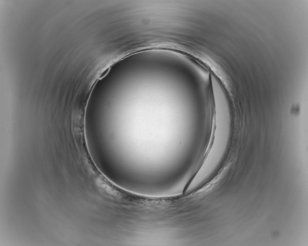 X0000089951001200707201921