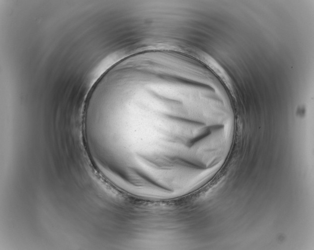 X0000089951002200707201921