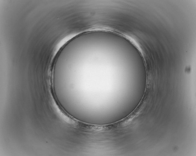 X0000089951003200707201921