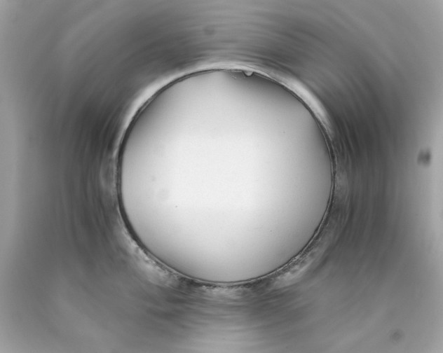 X0000089951004200707201921