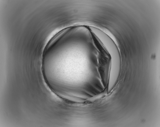 X0000089951005200707201921