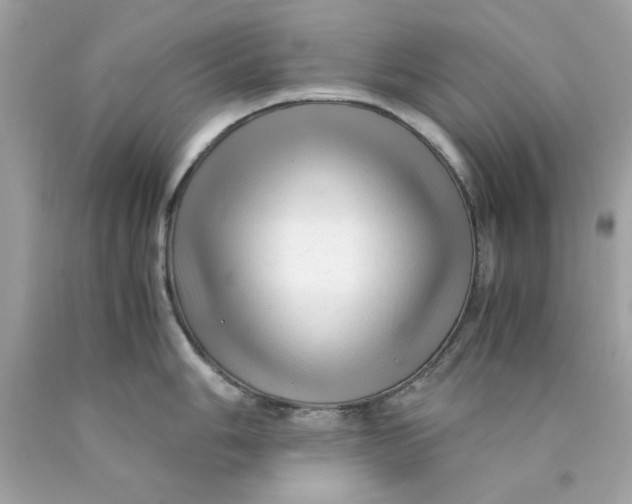 X0000089951006200707201921