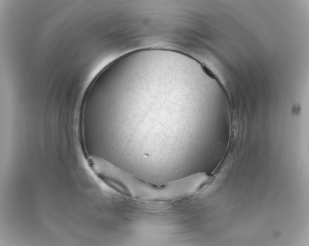 X0000089951007200707201921