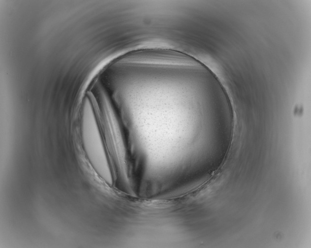 X0000089951008200707201921