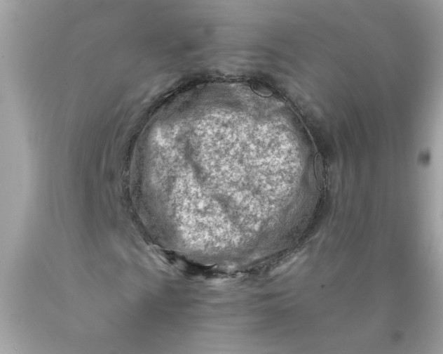 X0000089951009200707201920