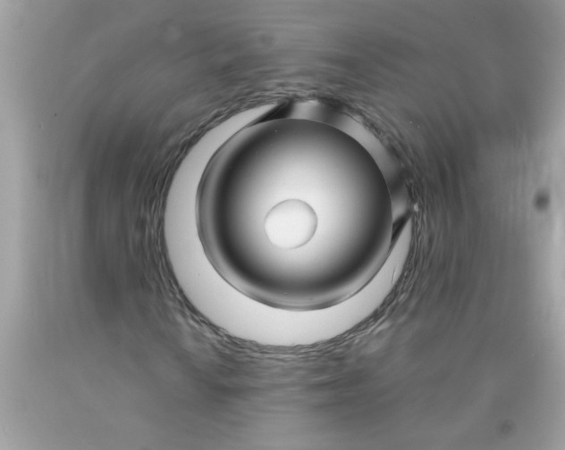 X0000089951010200707201920