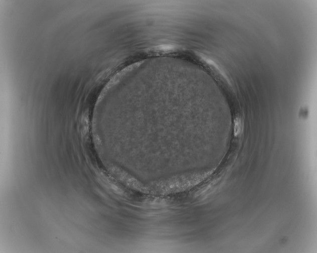 X0000089951011200707201920