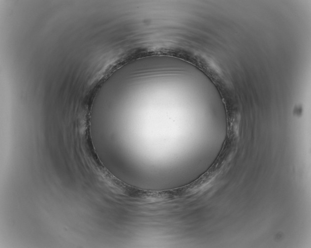 X0000089951012200707201920