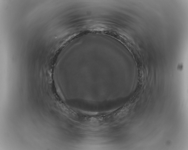 X0000089951013200707201920