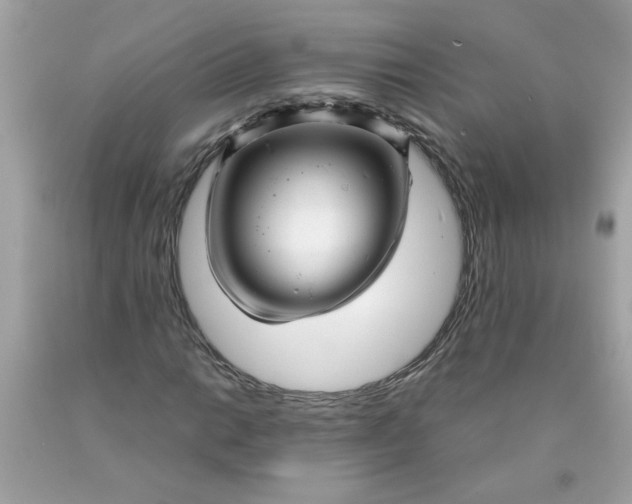 X0000089951014200707201920