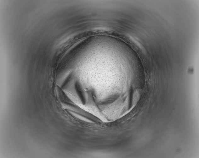 X0000089951015200707201920