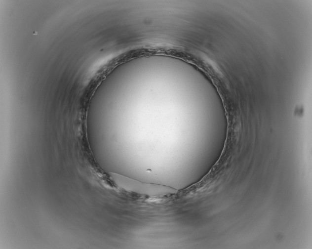 X0000089951016200707201920