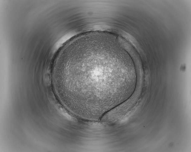 X0000089951018200707201920