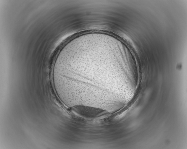 X0000089951019200707201920