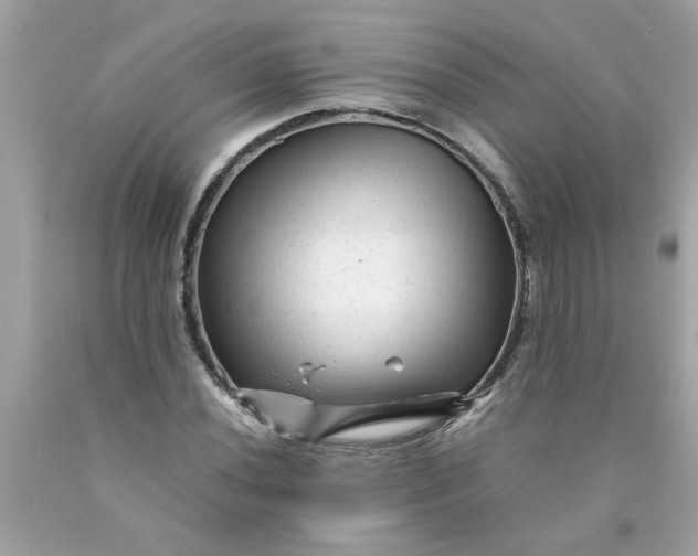 X0000089951020200707201920