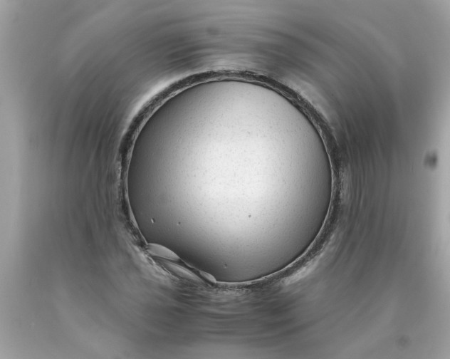 X0000089951021200707201920