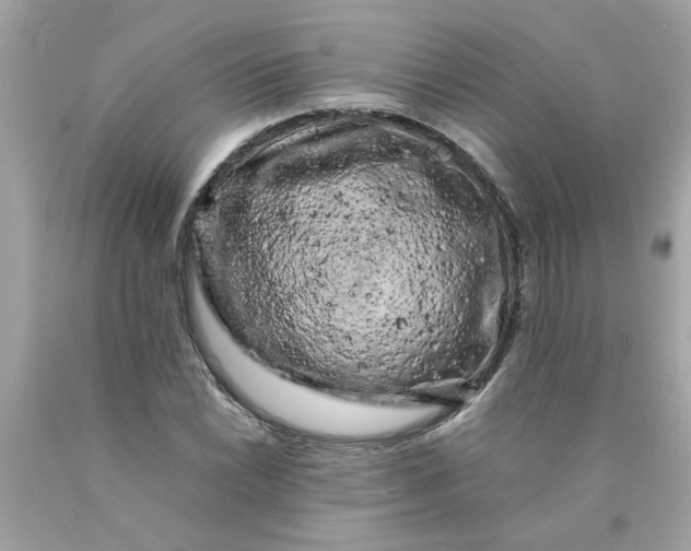 X0000089951022200707201920