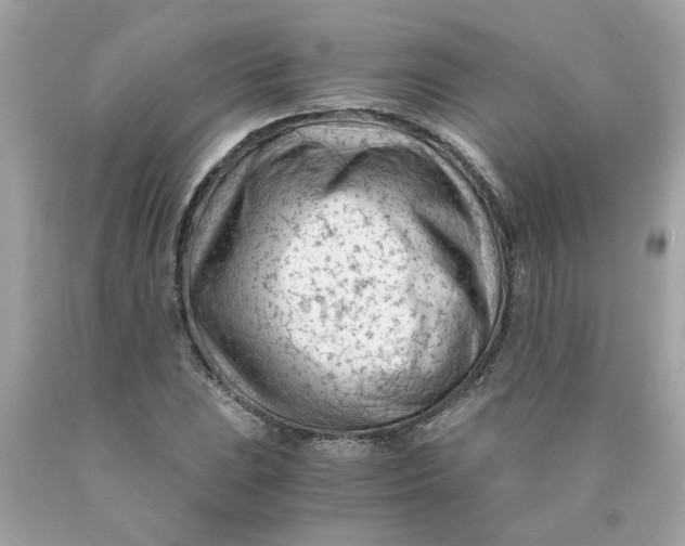 X0000089951023200707201920