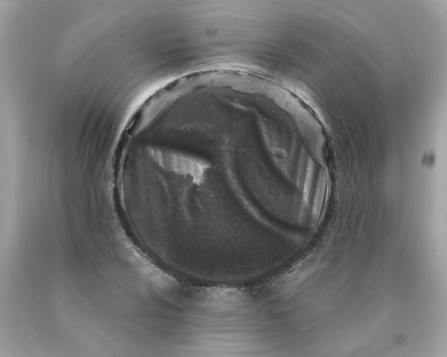 X0000089951024200707201920