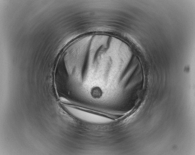 X0000089951025200707201920