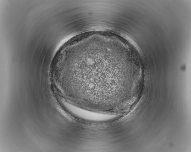 X0000089951026200707201920