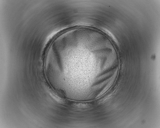 X0000089951027200707201920