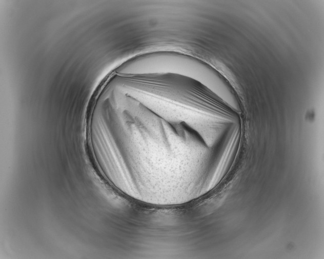 X0000089951028200707201921