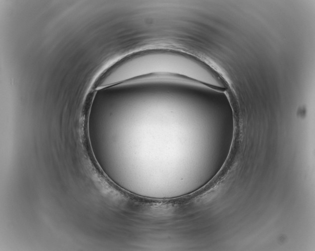 X0000089951029200707201921